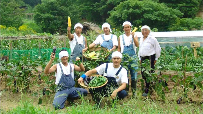 Ngành nông nghiệp ở Nhật Bản phát triển đến mức nào